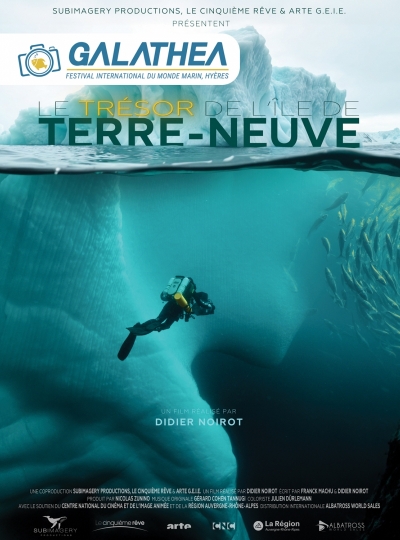 2 - LE TRSOR DE L'LE DE TERRE NEUVE