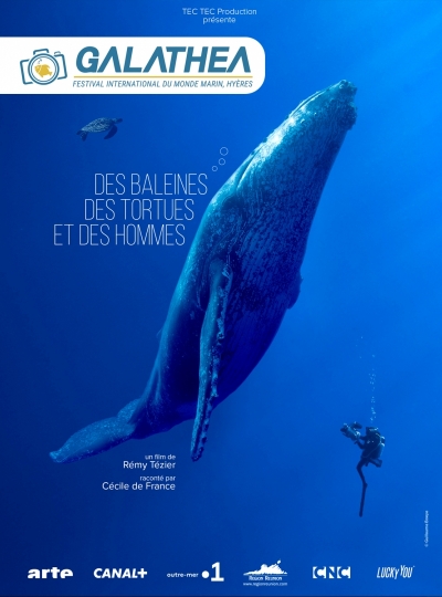3 - DES BALEINES DES TORTUES ET DES HOMMES