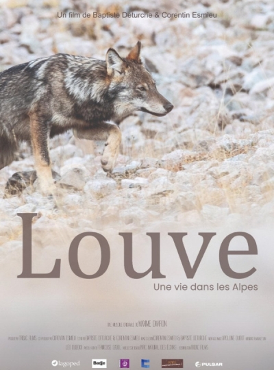 Louve. Une vie dans les alpes