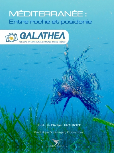 2 - MÉDITERRANÉE : ENTRE ROCHE ET POSIDONIE