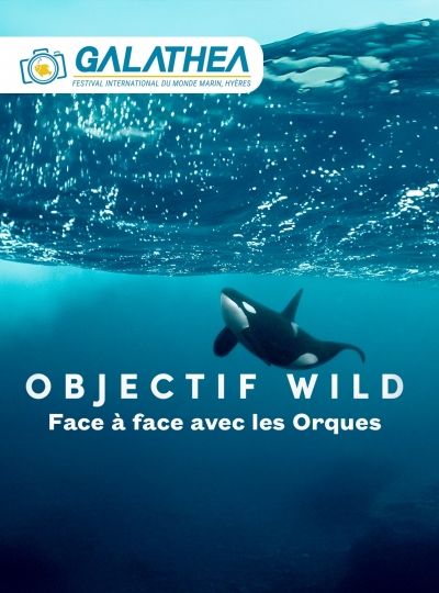 8 - FACE � FACE AVEC LES ORQUES